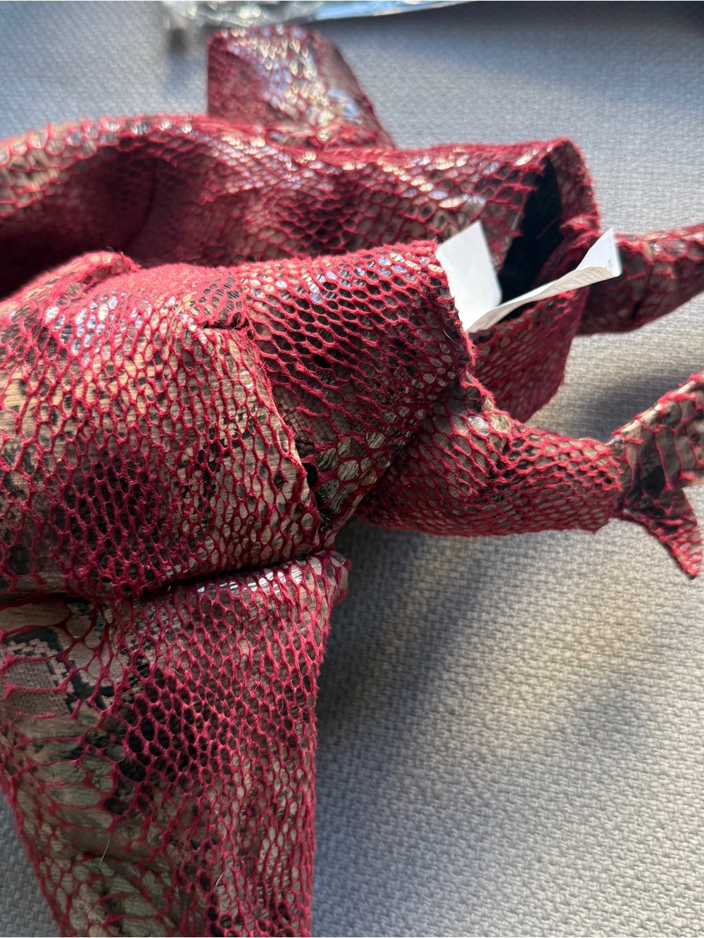 Raptor Dinosaur Dog Costume - Animal Planet - Picture 8 of 10